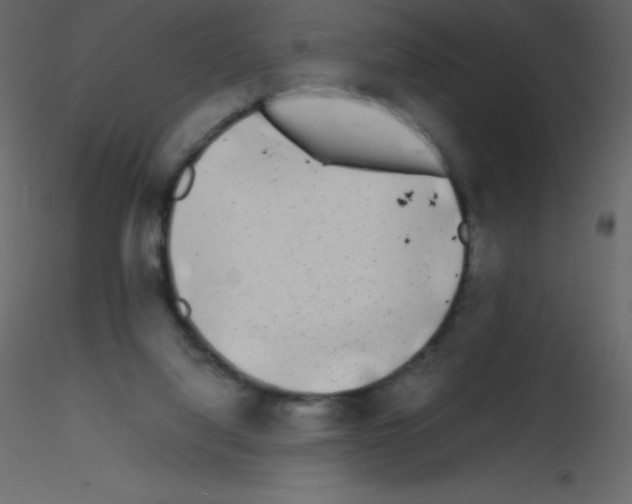 X0000115740068200912241656