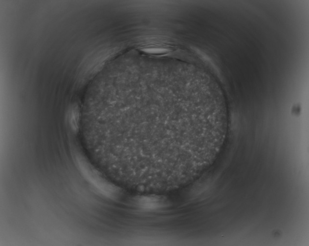 X0000115740069200912241656