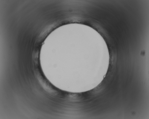 X0000115740070200912241656