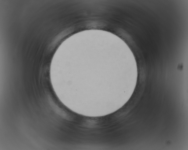 X0000115740071200912241656