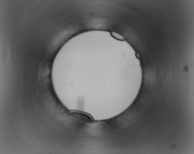 X0000115740072200912241656
