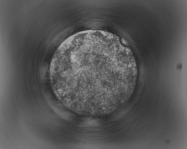 X0000115740073200912241656
