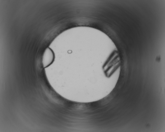 X0000115740074200912241656