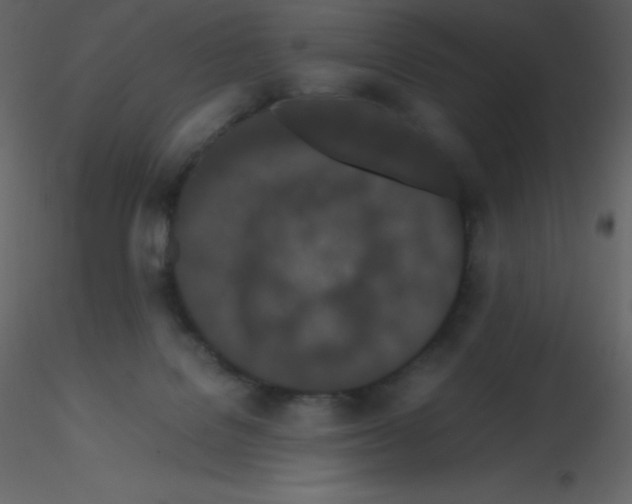 X0000115740076200912241656