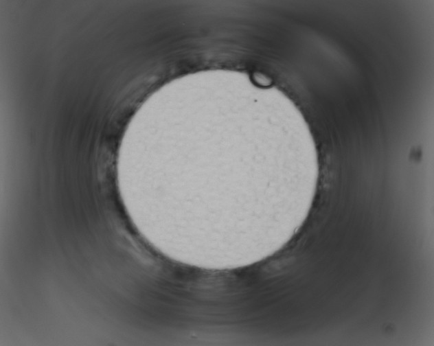 X0000115740077200912241656