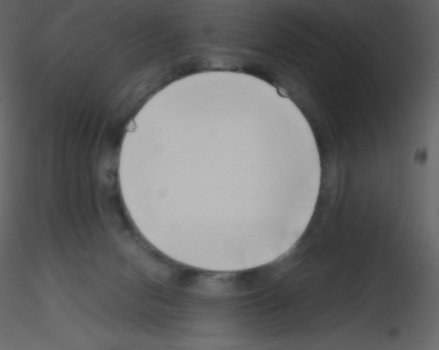X0000115740078200912241656
