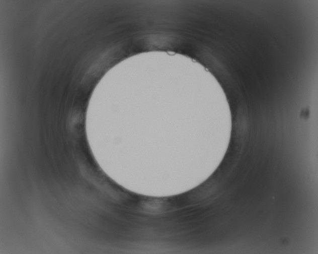 X0000115740079200912241656