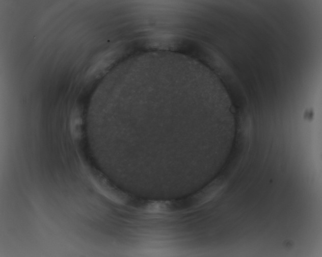 X0000115740080200912241656