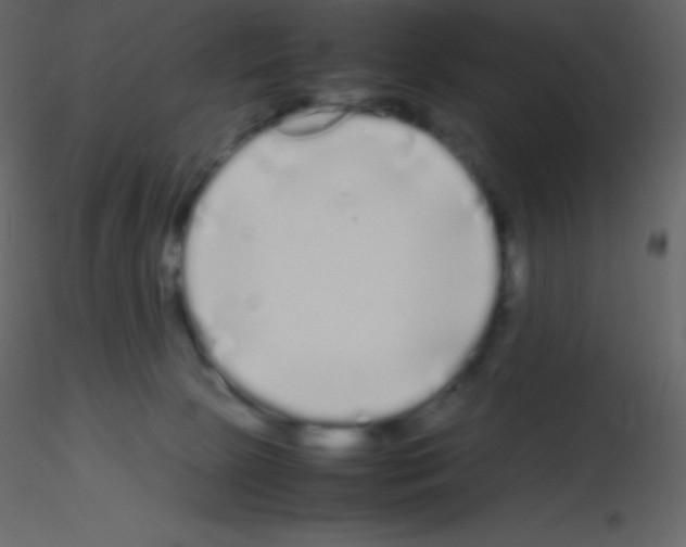 X0000115740081200912241656