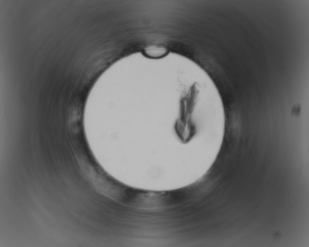 X0000115740082200912241656