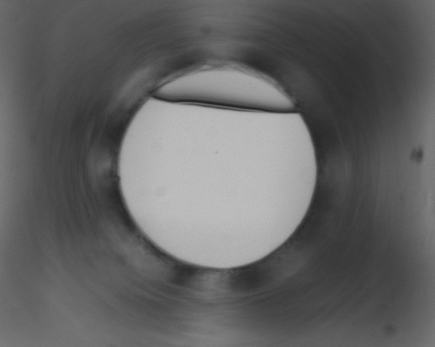 X0000115740084200912241656