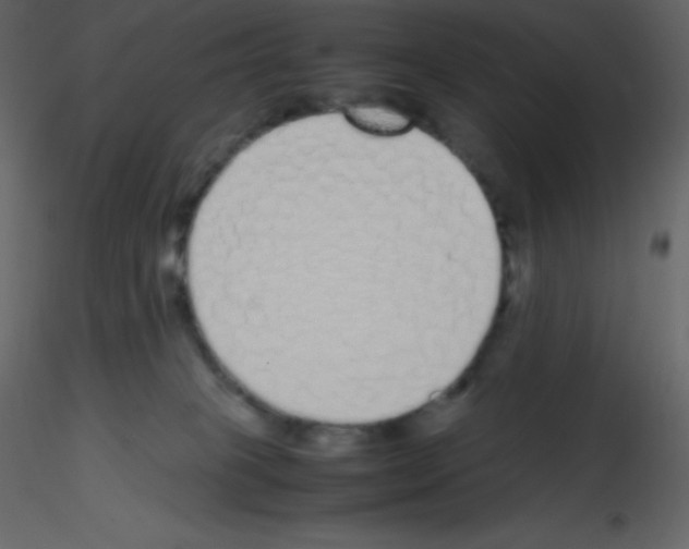 X0000115740085200912241656