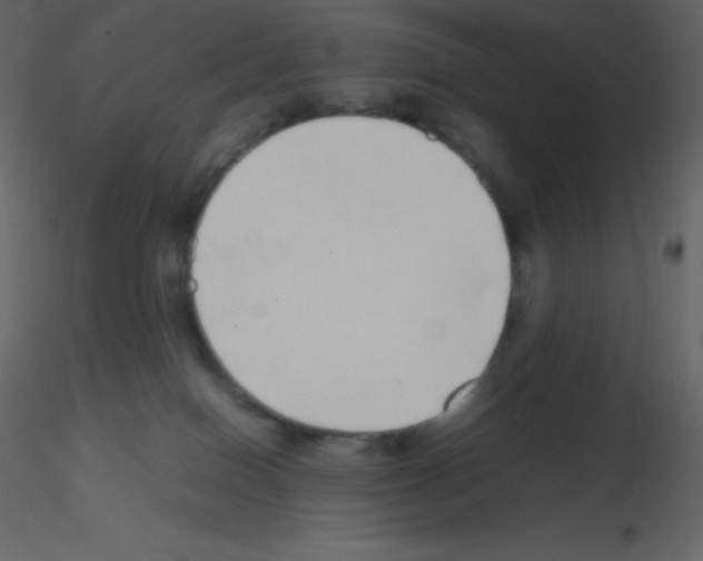 X0000115740086200912241656