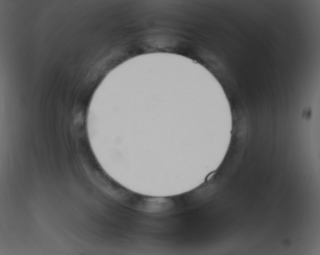 X0000115740087200912241656