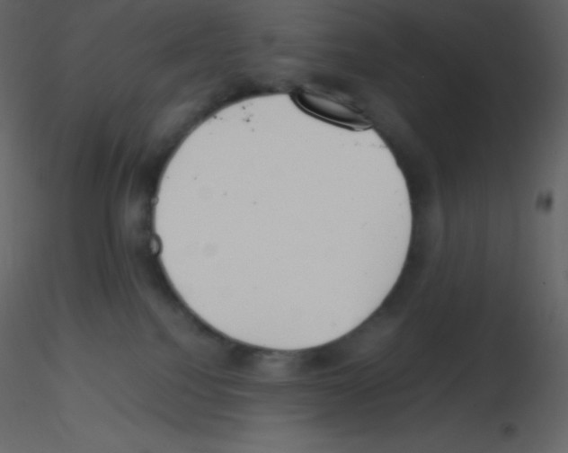 X0000115740088200912241656
