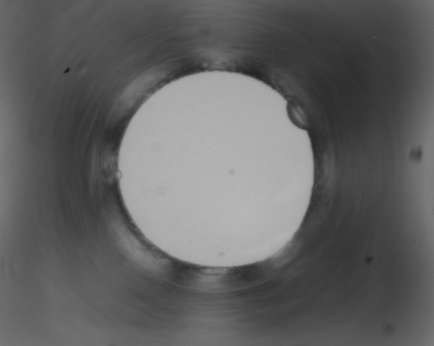 X0000115740090200912241656