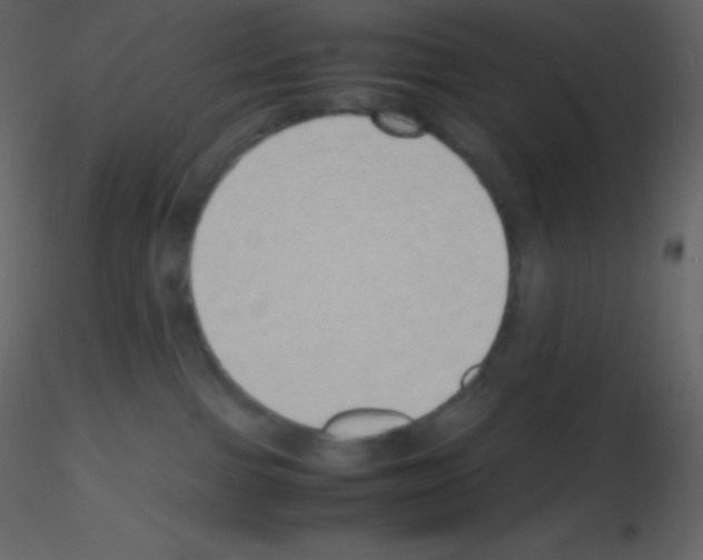 X0000115740091200912241656