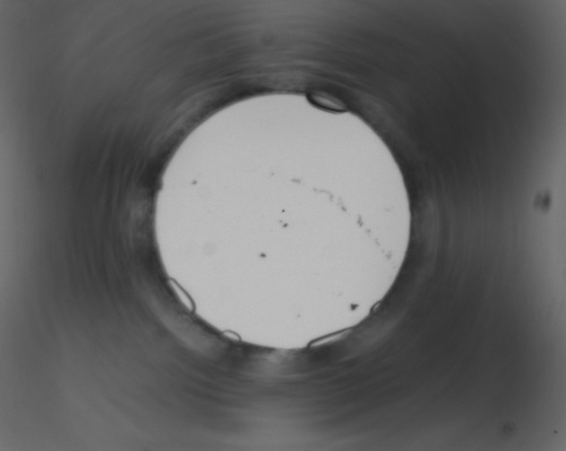 X0000115740092200912241656