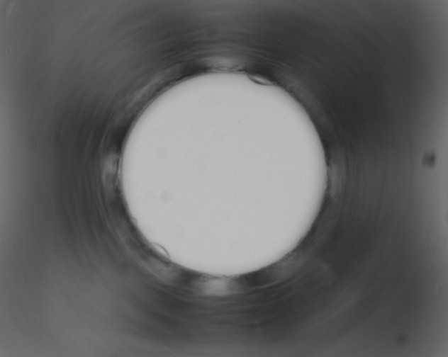 X0000115740093200912241656