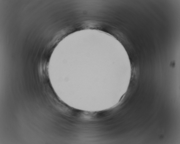 X0000115740094200912241656