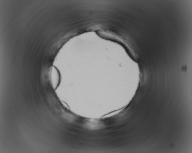 X0000115740095200912241656
