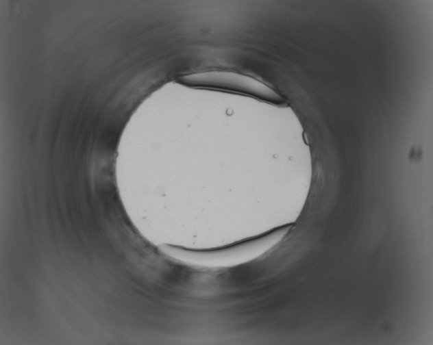 X0000115740096200912241656