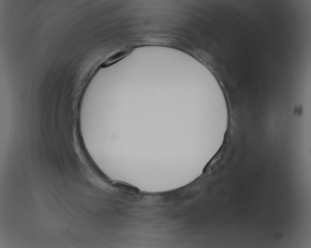 X0000115740097200912241655