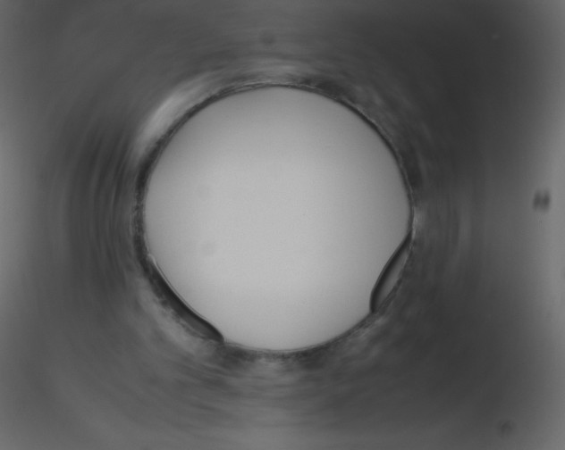 X0000115740101200912241655