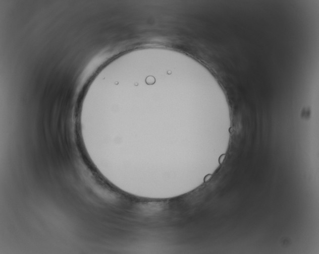 X0000115740102200912241655
