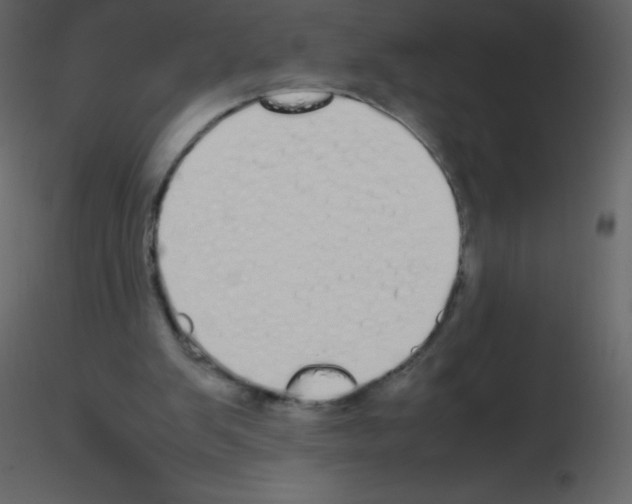 X0000115740103200912241655