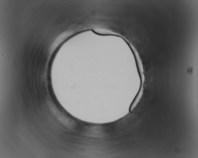 X0000115740104200912241655