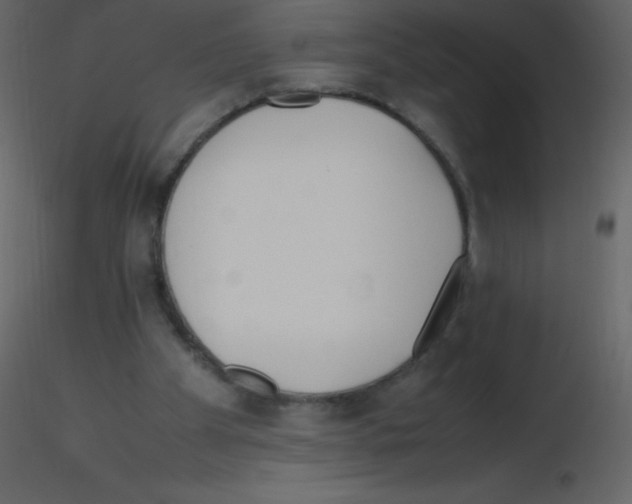 X0000115740105200912241655