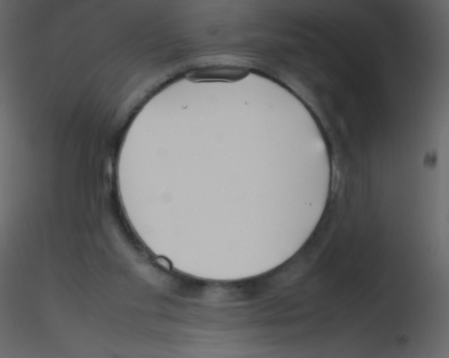 X0000115740109200912241655