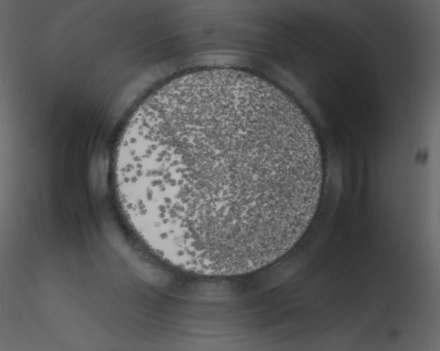 X0000115740110200912241655