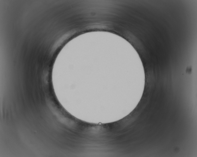 X0000115740112200912241655