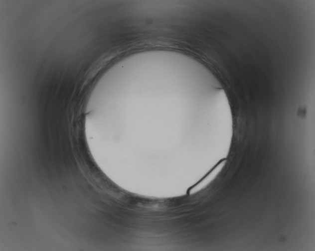 X0000115740116200912241655