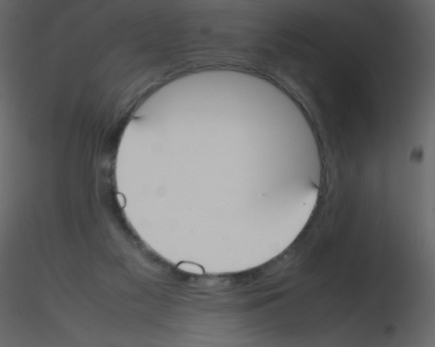 X0000115740117200912241655