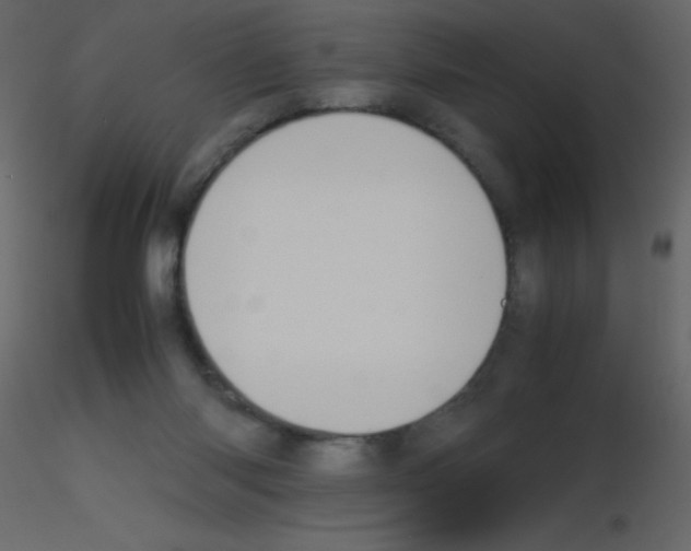 X0000115740118200912241655