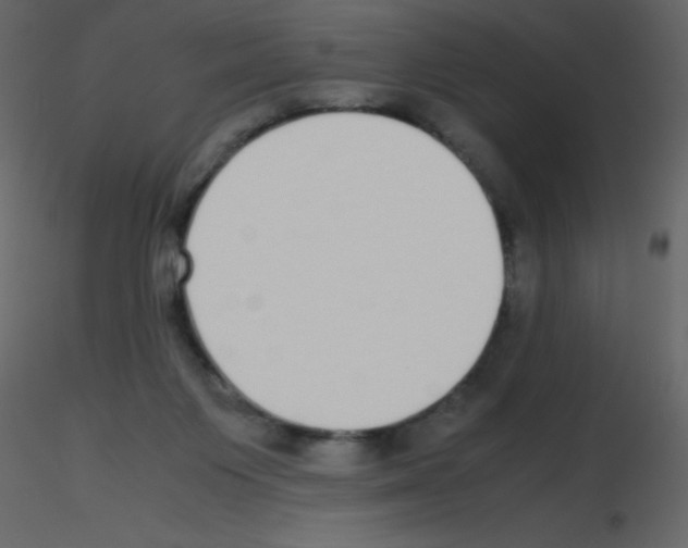 X0000115740119200912241655