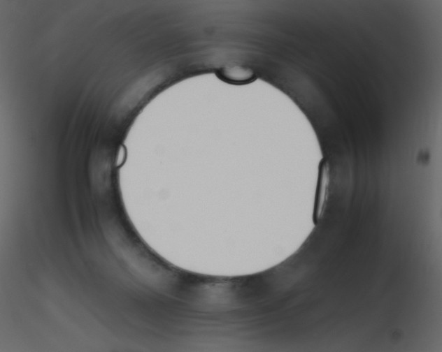 X0000115740120200912241655