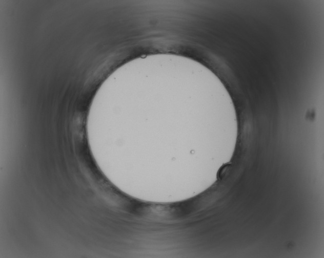 X0000115740121200912241655