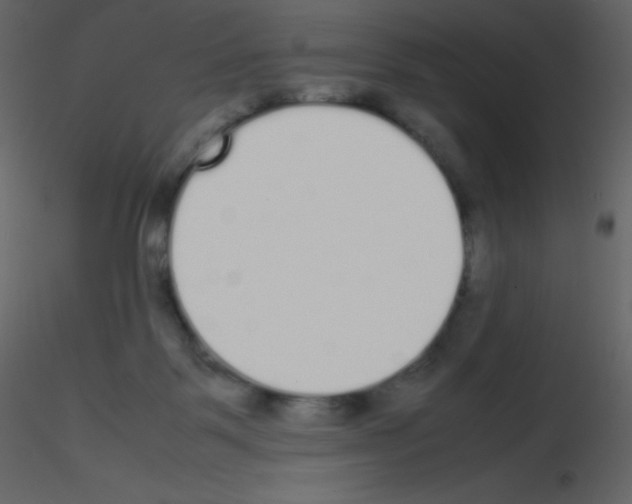 X0000115740123200912241655