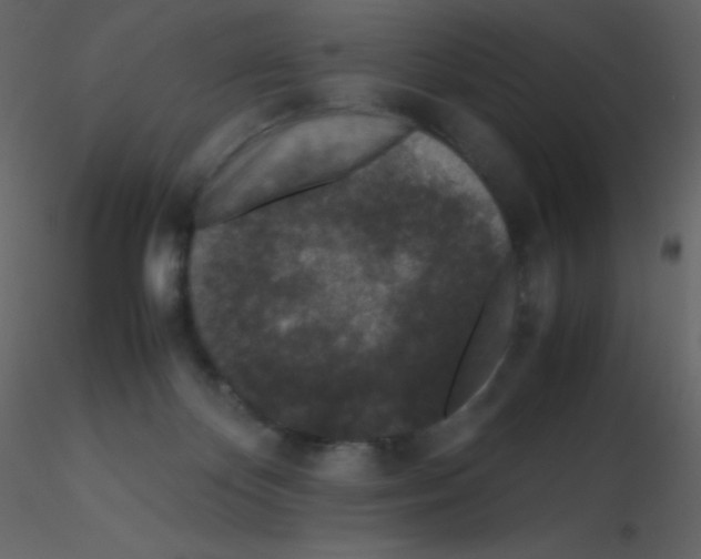 X0000115740124200912241655