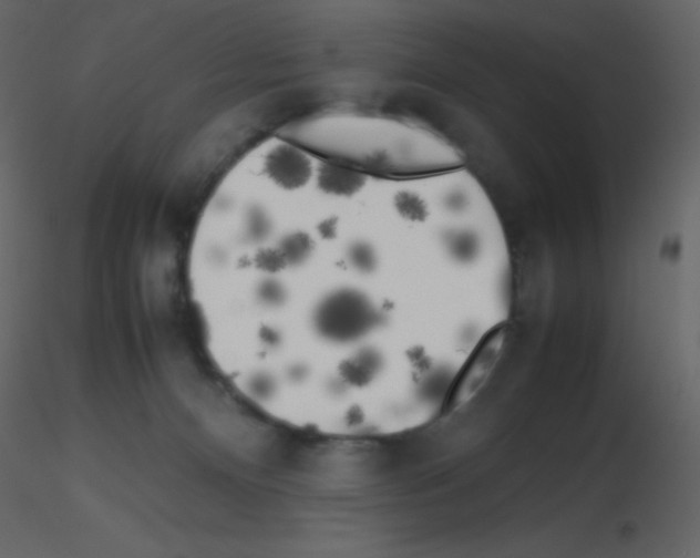 X0000115740128200912241655
