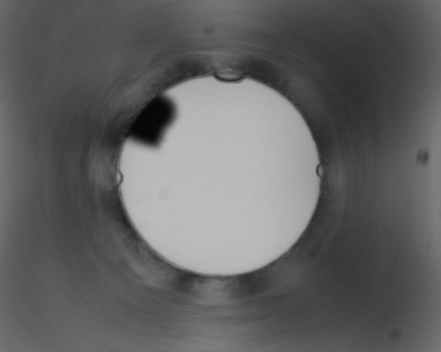 X0000115740129200912241655