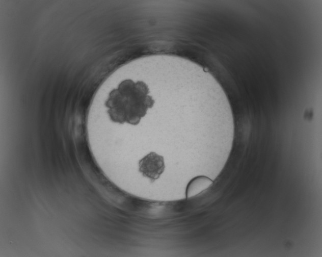 X0000115740130200912241655