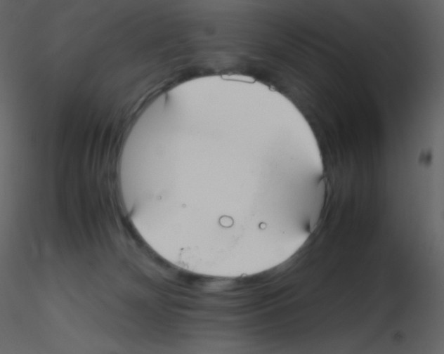 X0000115740132200912241655