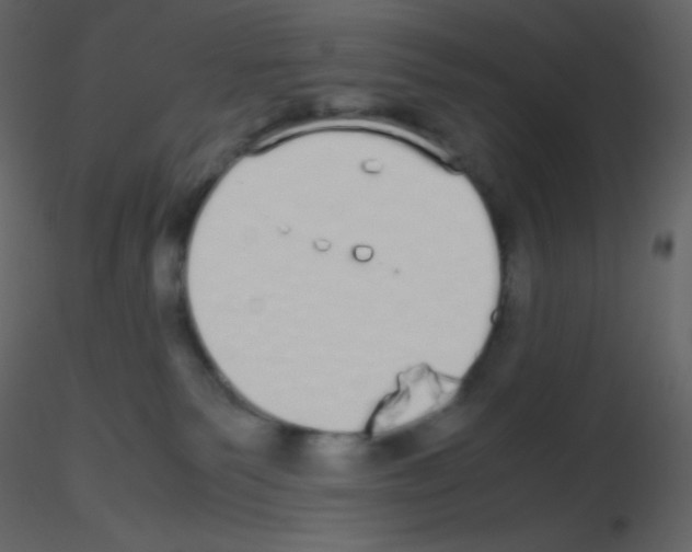 X0000115740135200912241655