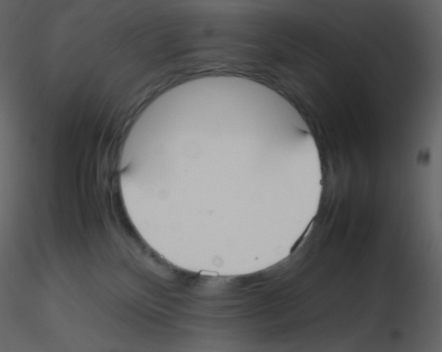 X0000115740136200912241655