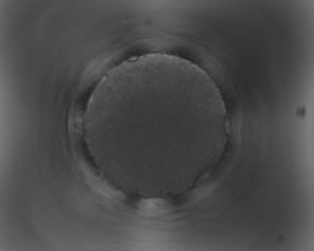 X0000115740137200912241655